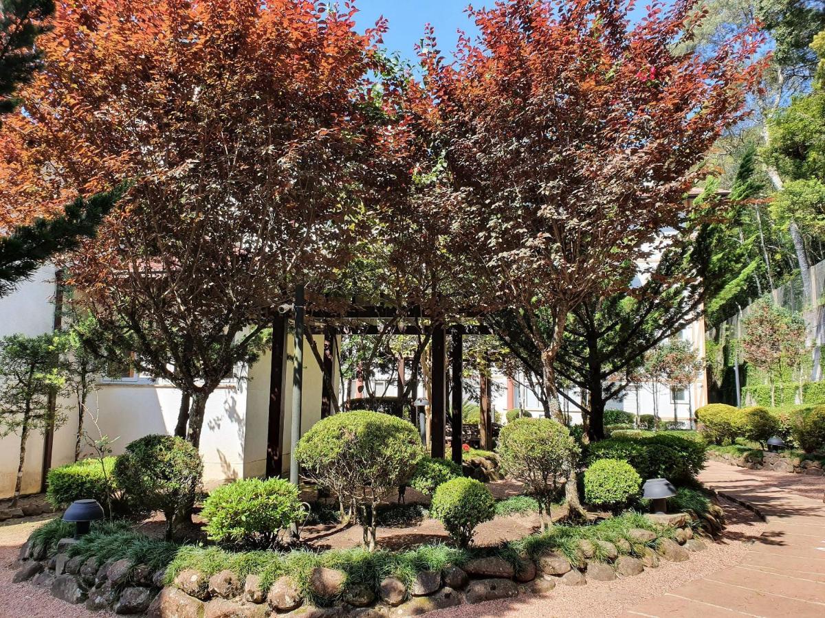 Apto No Centro De Gramado Com Piscina Termica ภายนอก รูปภาพ